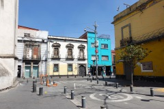 Gata i närheten av Garibaldi Plaza, Centro Histórico, Mexico City.