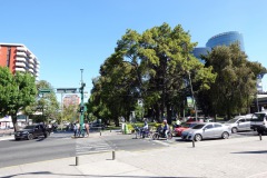 Gatuscen vid Plaza Obelisco, Zona9-Zona10, Guatemala City.