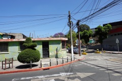 Gatuscen, Zona 4, Guatemala City.