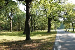 Stadsparken Ąžuolynas i Kaunas. Känd för att vara en av de största urbana ekskogarna i Europa.