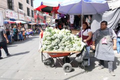 Skottkärra med broccoli, Mercado Central, Centro Histórico, San Salvador.