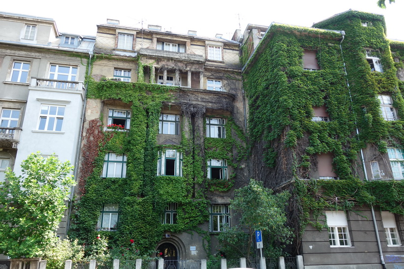 Häftig växtlighet på fasaden, Zagreb.
